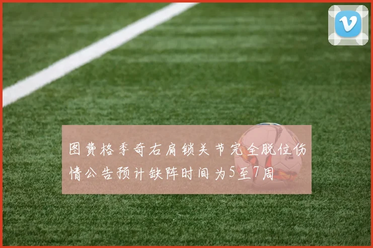 图费格季奇右肩锁关节完全脱位伤情公告预计缺阵时间为5至7周