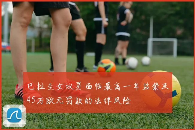 巴拉圭女议员面临最高一年监禁及45万欧元罚款的法律风险